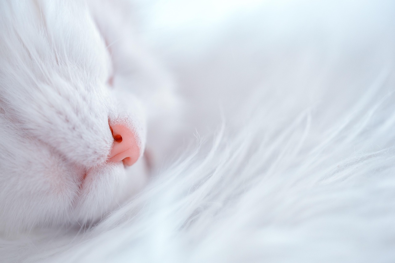 ワークフロムホームが睡眠リズムに与える影響とは？