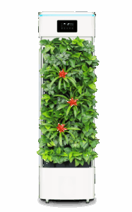 空気清浄機はPM2.5対策にどのような睡眠効果をもたらすのか？