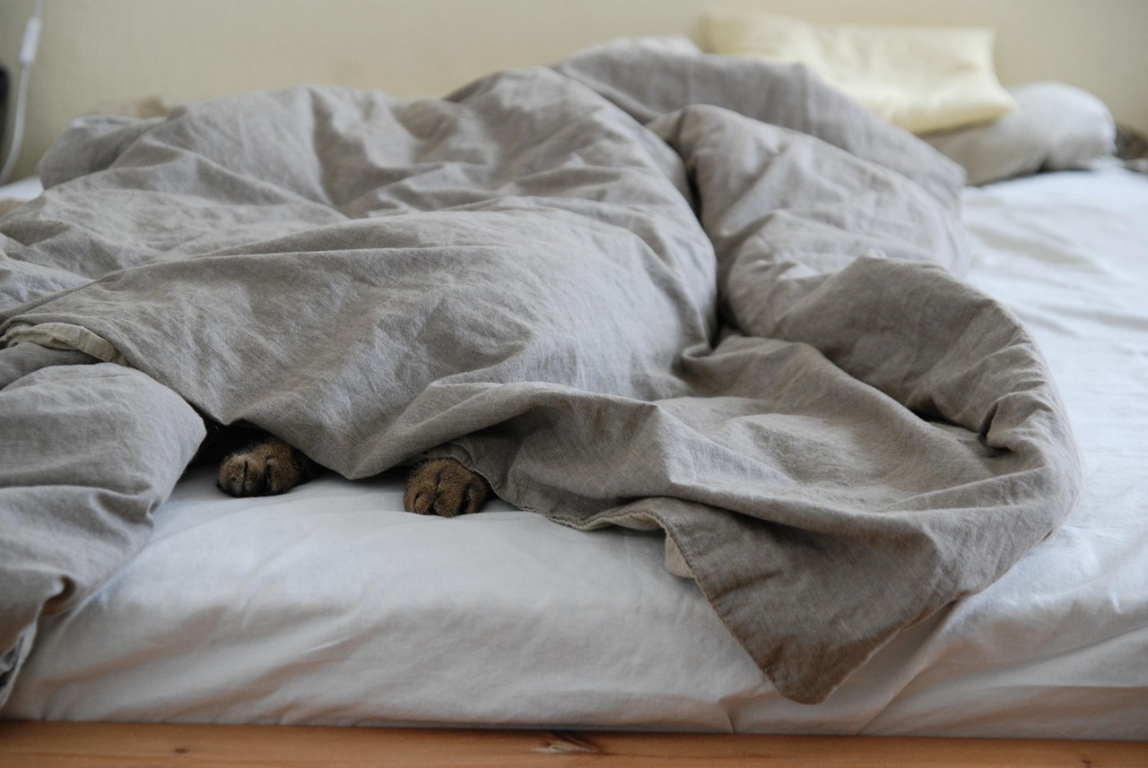 足枕を使ったむくみ対策で快適な睡眠を得る方法は？