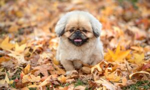 いびきチェックアプリで自分の睡眠を見直す方法は？