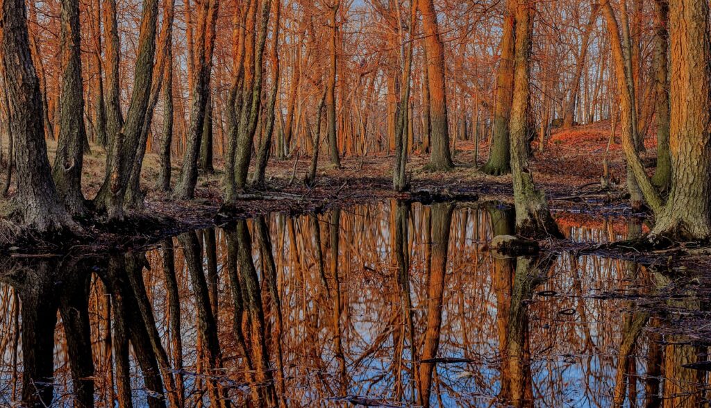 サンセットライトでリラックスする効果とは？