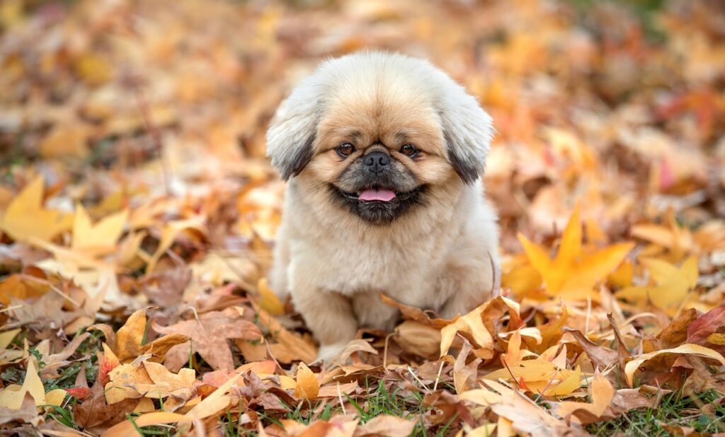 マットレス硬さを選ぶ際の最適な基準は？