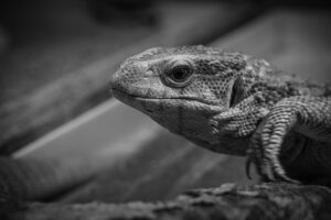 抱き枕を使って寝返りできない問題を解決する方法は？