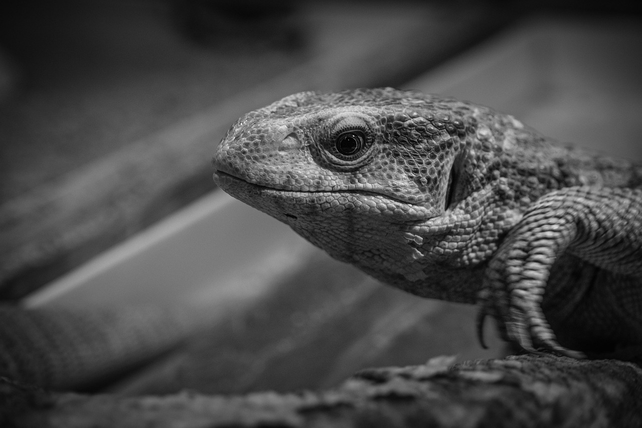 抱き枕を使って寝返りできない問題を解決する方法は？