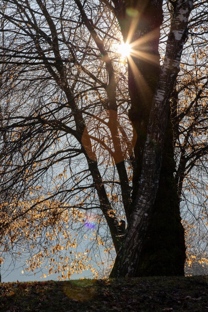 朝ですっきり起きるためのコツは？