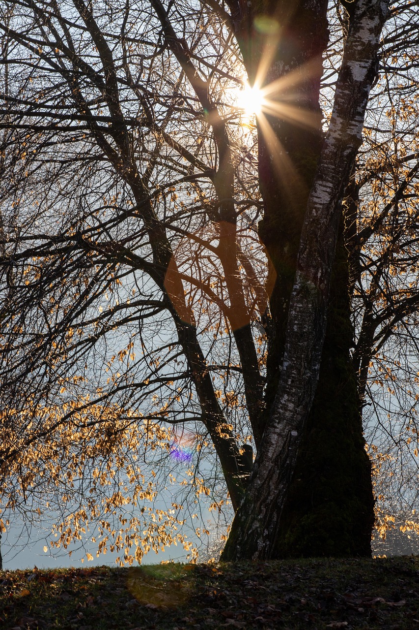 朝ですっきり起きるためのコツは？