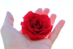 快眠を得るためのアイマスクの効果とは？