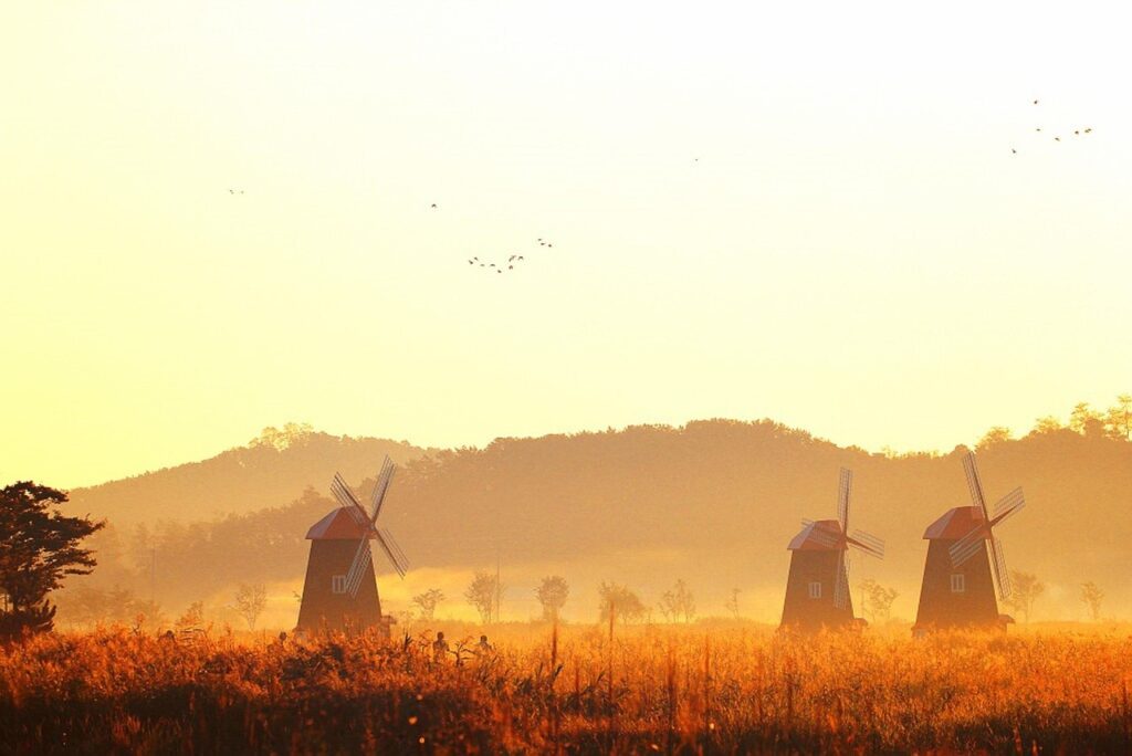 熟睡できないメンタルを改善するための方法は？