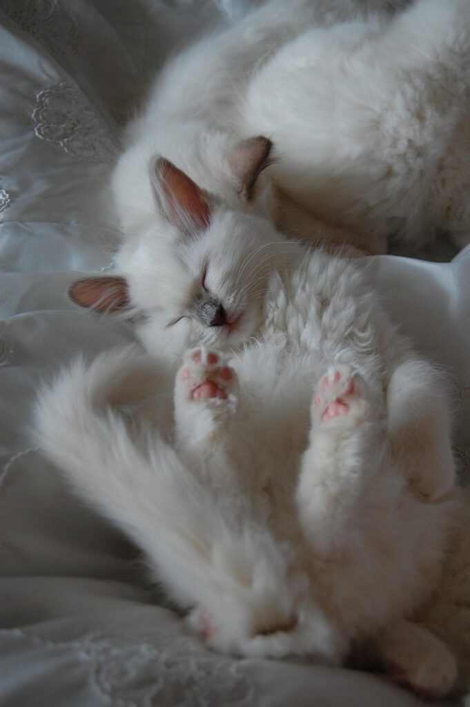 睡眠外来に通院する回数はどのくらい必要？