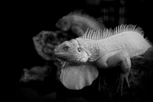 睡眠改善が続かない原因は何？