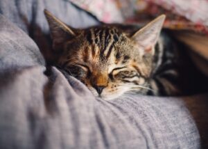 産後の睡眠の質を改善する方法は？