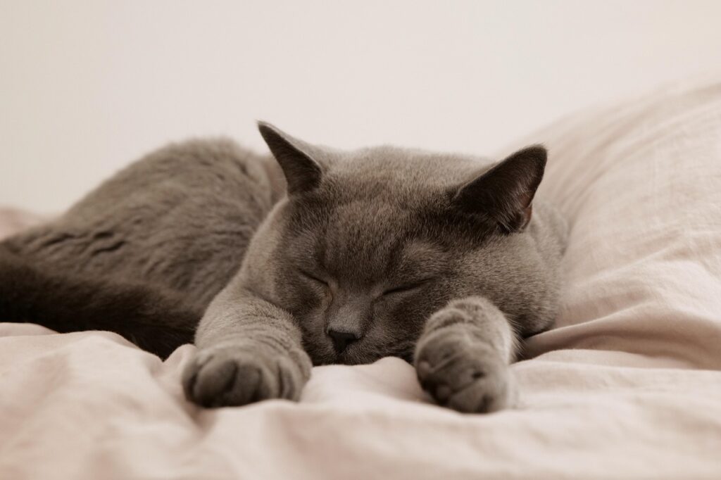 睡眠の質をチェックする方法はこれだ！あなたの睡眠を改善するヒントは？