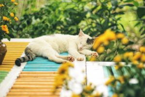 睡眠の質を上げるための生活習慣見直しは何から始めるべき？