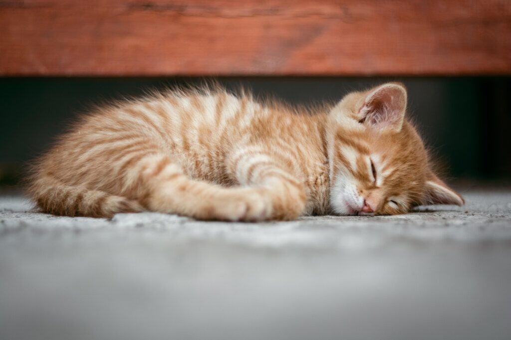 睡眠サプリの副作用は本当に危険性があるのか？