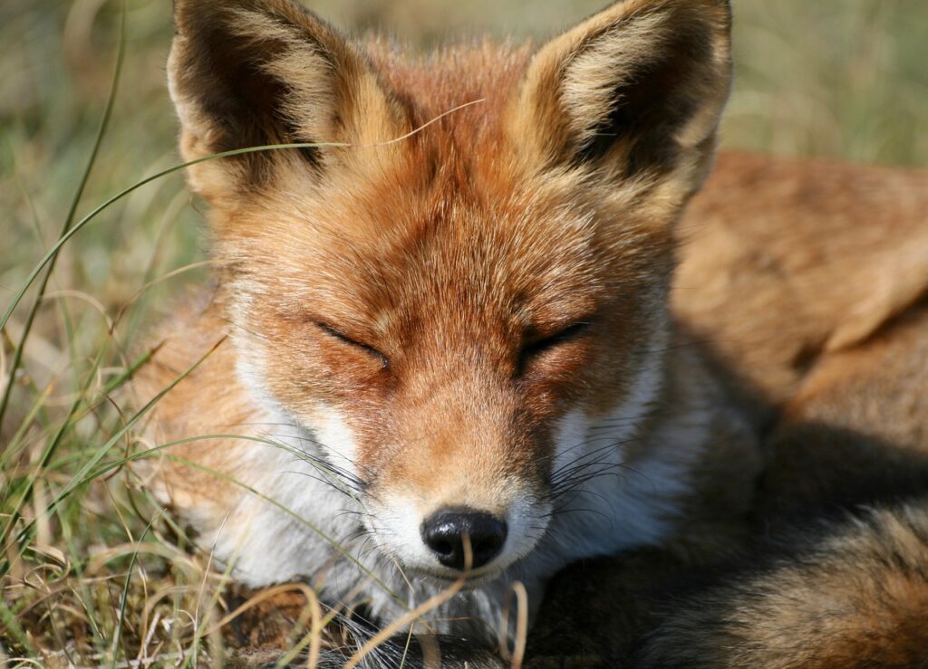 睡眠サプリをやめたほうがいいケースとは？